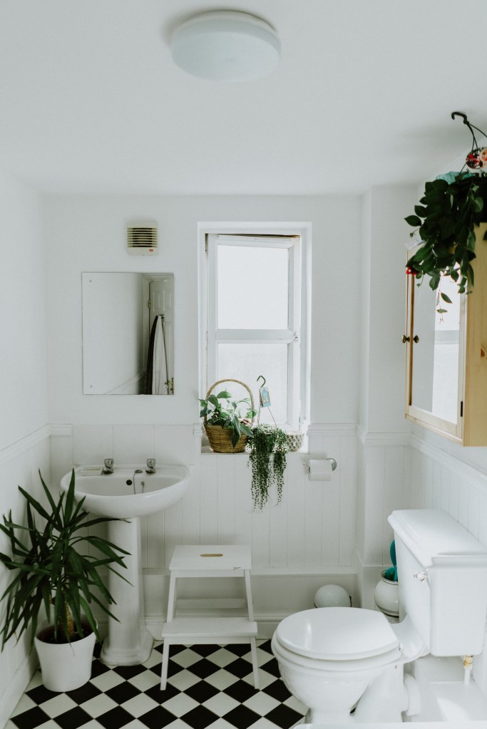 Banheiro minimalista com base branca, detalhes em preto e madeira e plantas decorativas