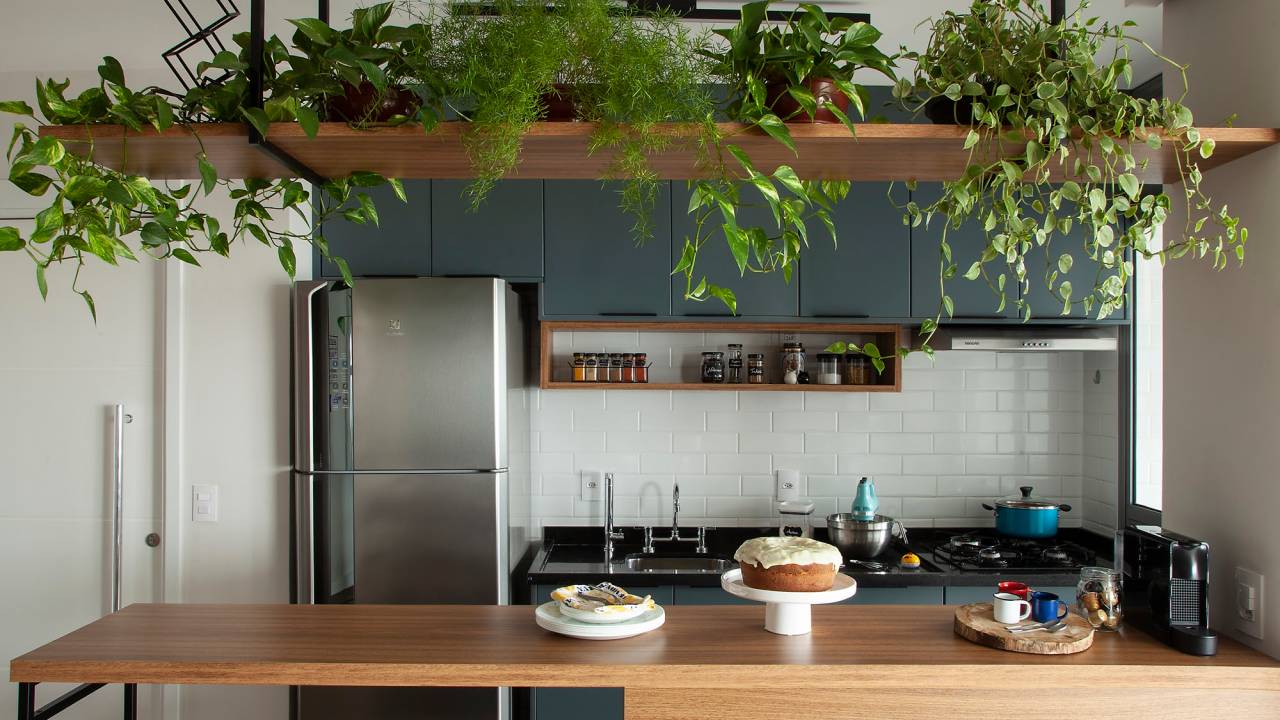 Cozinha com uma estante exibindo vasos de planta a cima da bancada