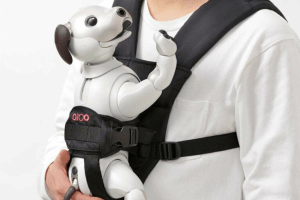 Sony-lança-novo-acessório-para-seu-cãozinho-robô-06