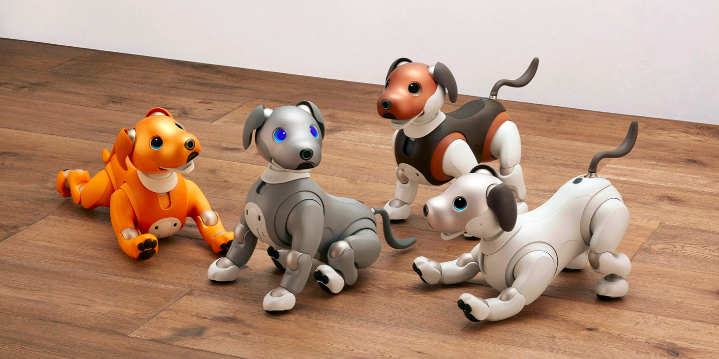 Quatro cães robôs no chão de diferentes cores