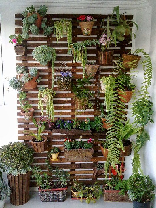 Jardim vertical com pallets. Suculentas e samambaias suspensas