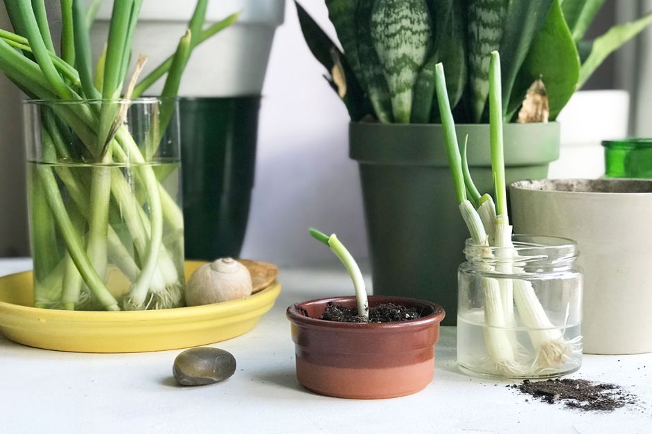 plantas-em-recipientes-01 Vasos de cerâmica e potes de vidro com mudas