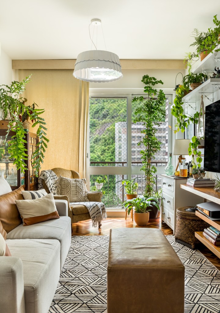 Muitas plantas em sala de estar estilo boho