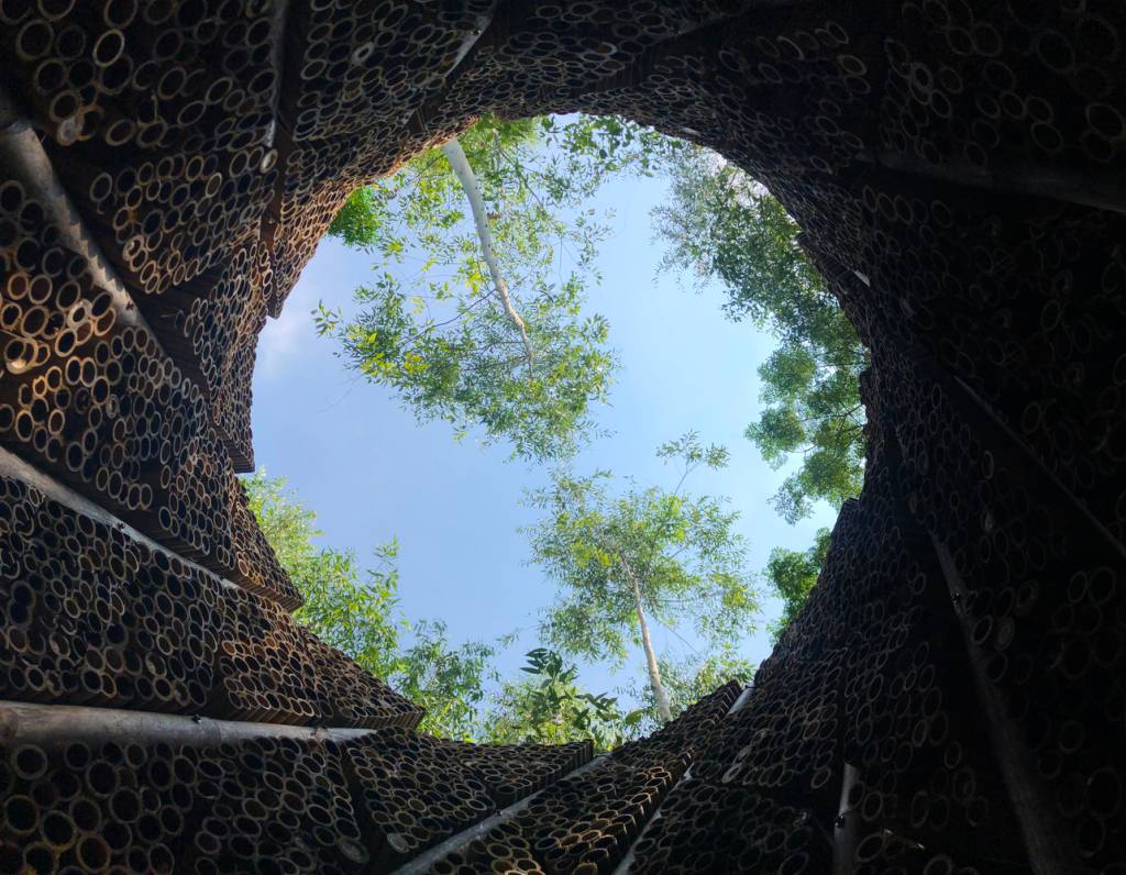 torre-de-bambu-ciclovivo-Olivier Dauce-02