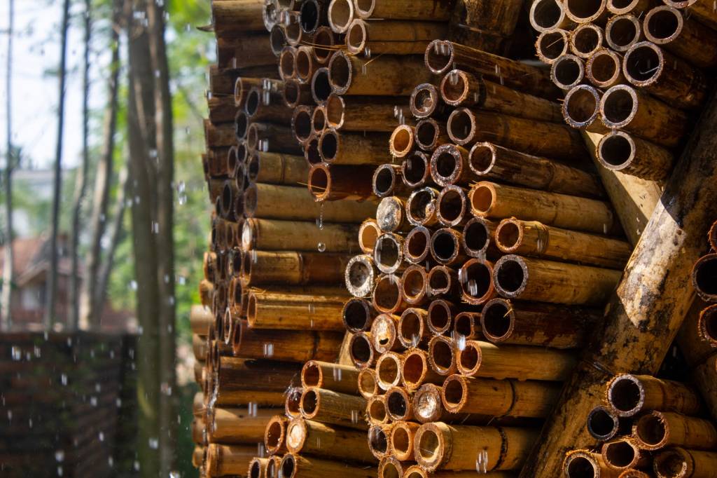 torre-de-bambu-ciclovivo-Olivier Dauce-06