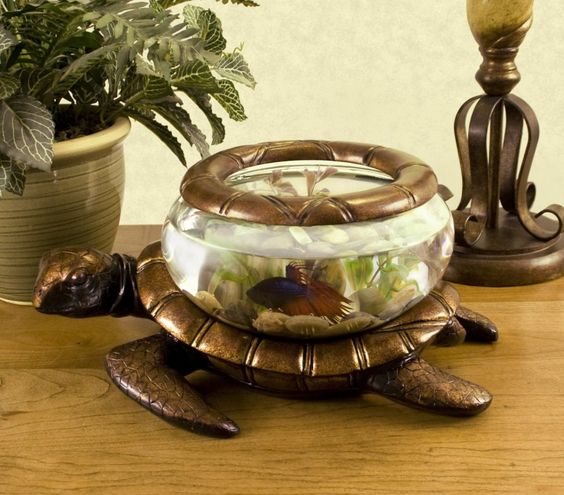 Vaso de tartaruga