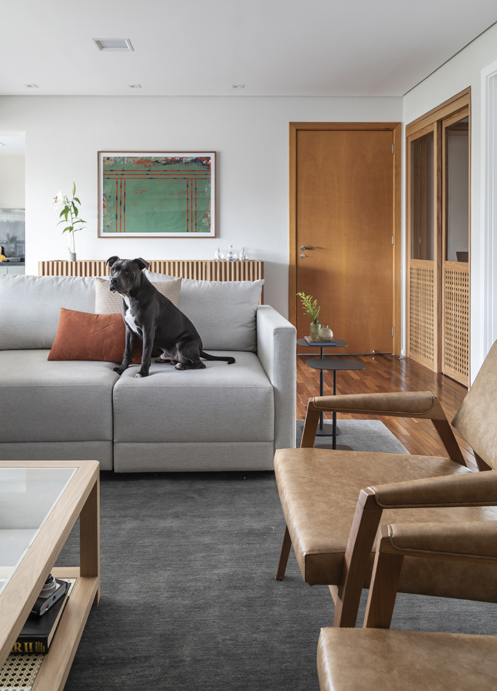 Living com sofá cinza; cachorro sentado no sofá
