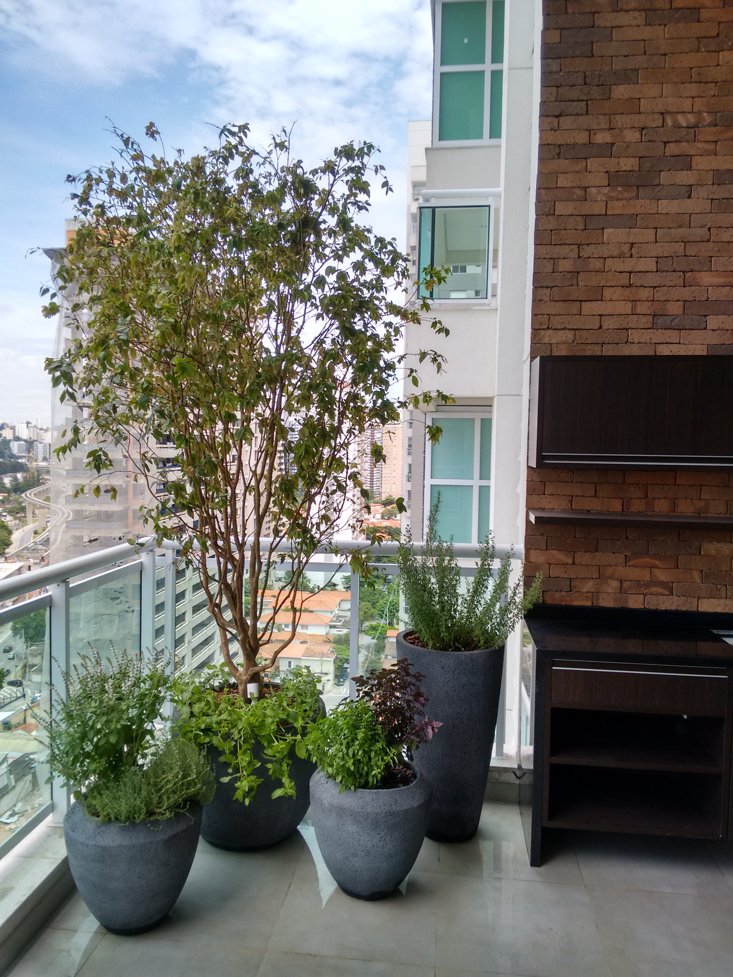 Árvore em varanda de apartamento