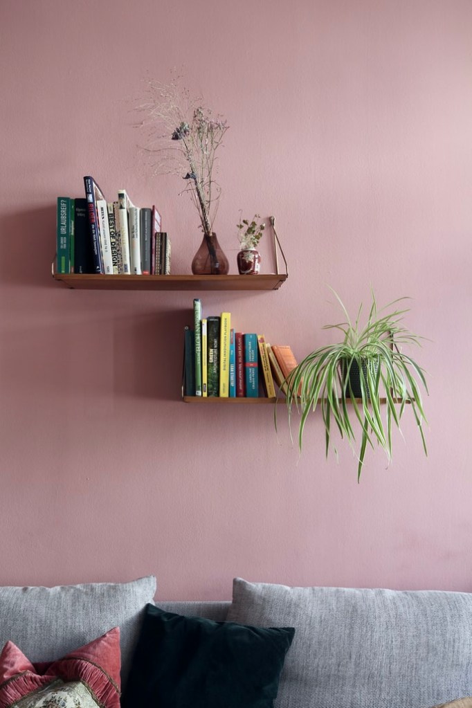 as-7-plantas-mais-faceis-de-cultivar-em-casa-casa.com-bloomscape-13-unsplash-beazy Gravatinha