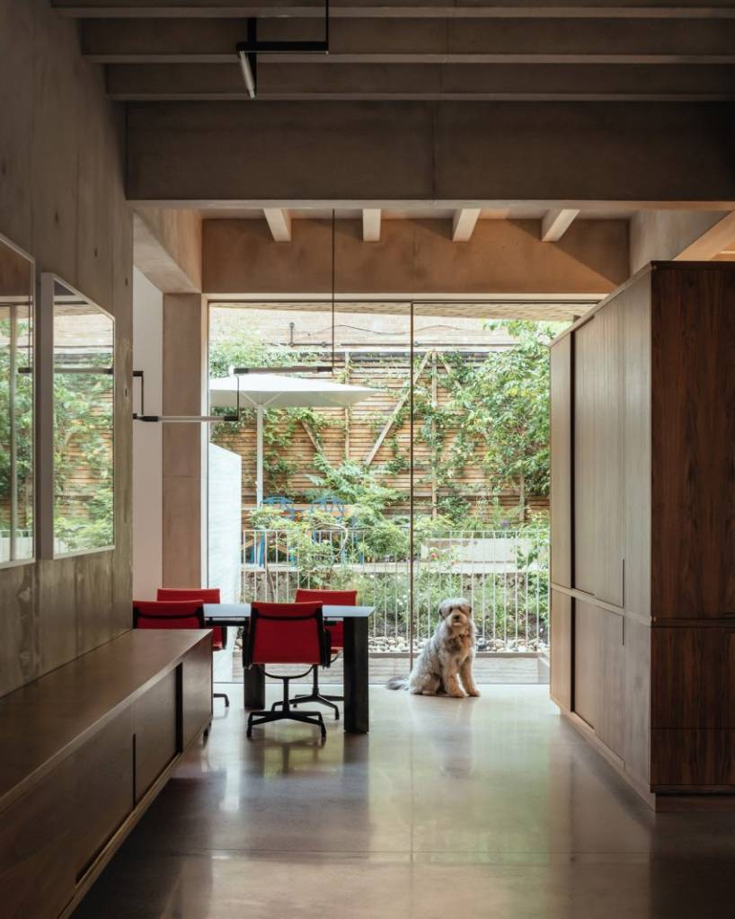 Sala de jantar com mesa de aço e cadeiras em preto e vermelho sobre piso de madeira, com cachorro e jardim ao fundo.