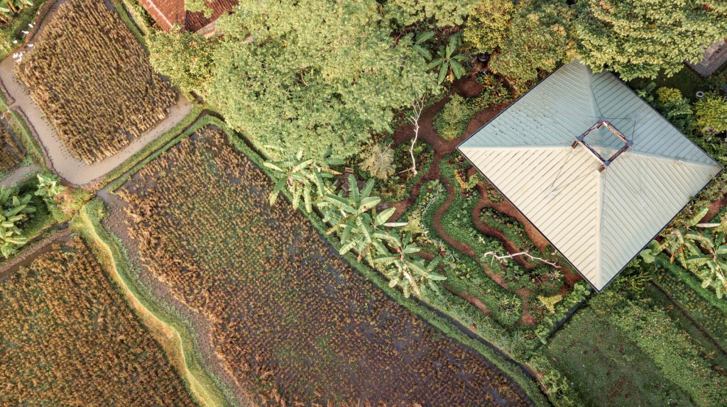 Vista aérea da casa na árvore com jardim ao redor e horta.