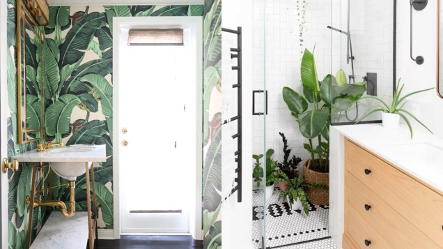 Quando você não tem espaço suficiente para colocar plantas em seu banheiro, considere um papel de parede vibrante com estampa de folhas. / Muitas plantas se dão perfeitamente bem com você no chuveiro. Você pode até pendurar alguns em sua haste de chuveiro!