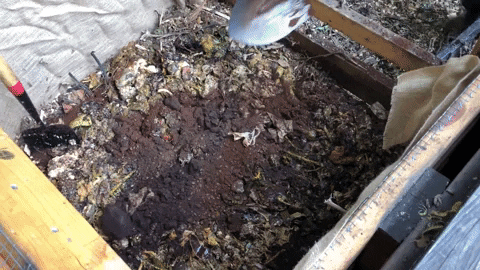 Gif de uma pá remoendo uma composteira de resíduos orgânicos.