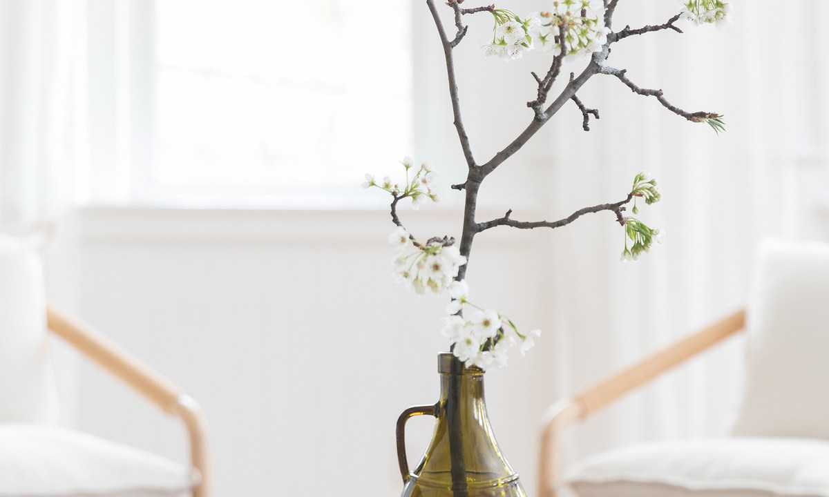 Feng Shui; ano novo; vaso; flor