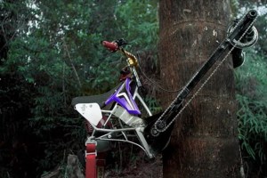 bicicleta-de-escalar-arvores-designboom