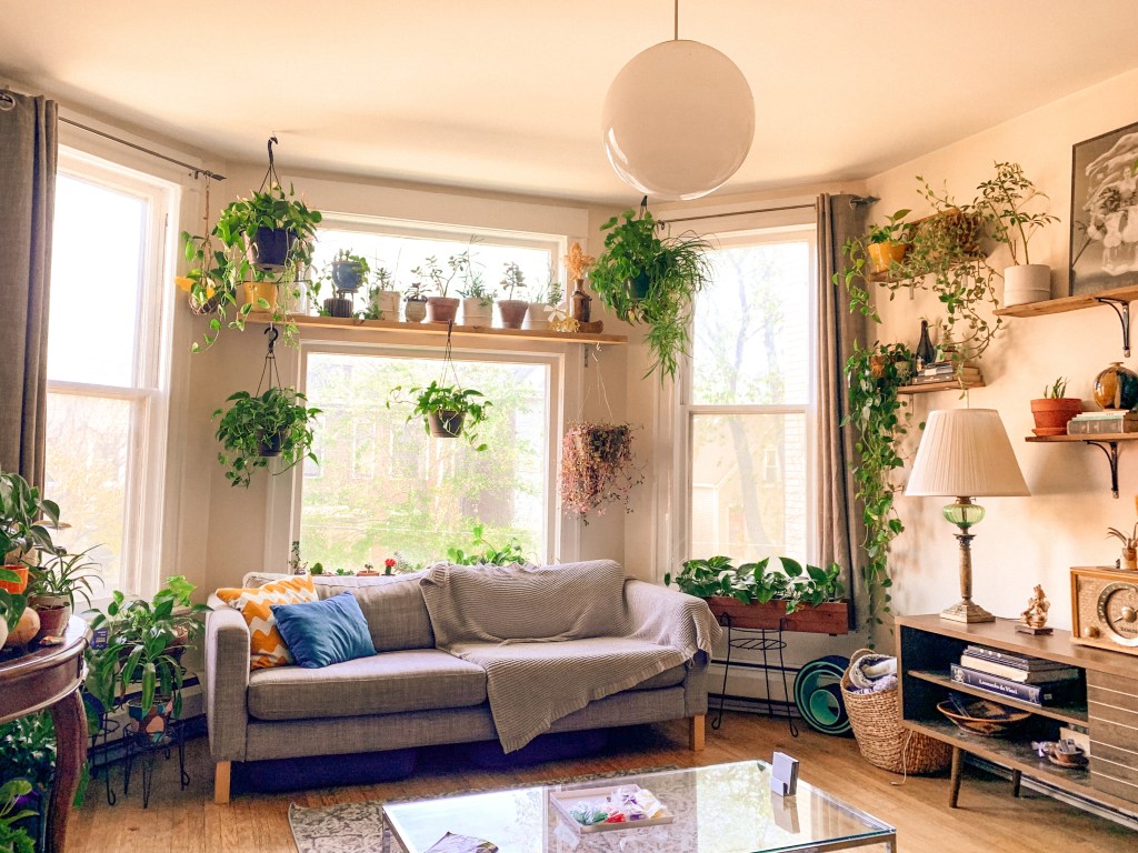 Sala de estar repleta de plantas com sofá cinza