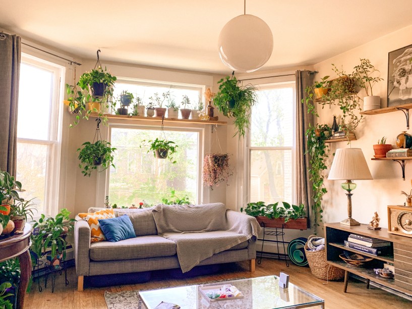 82 espaços decorados com plantas 