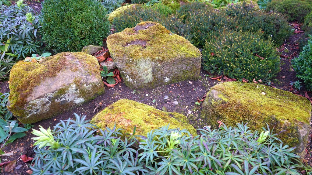 Canteiro de jardim com pedras cobertas por musgo e plantas baixas.