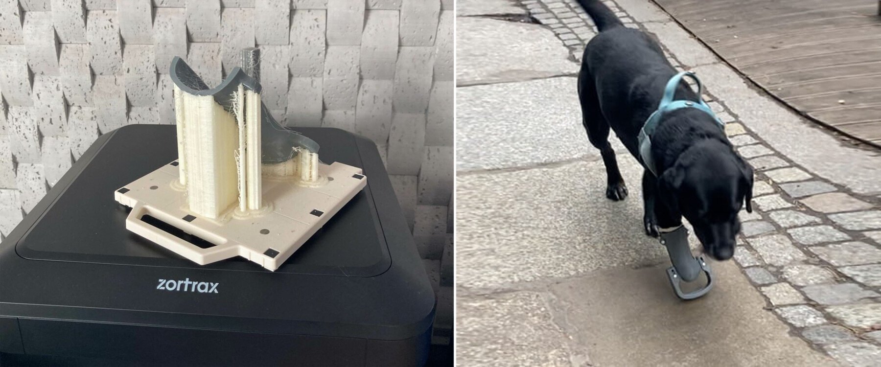 Veterinário imprime prótese 3D para cãezinhos andarem