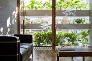 biofilia-fachada-verde-traz-benefícios-a-casa-vietna-hiroyuki-ori-sala-estar-jardim-vertical-luz-natural