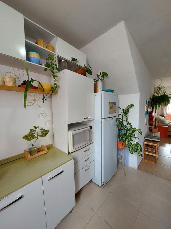 Cozinha branca com vasos de plantas