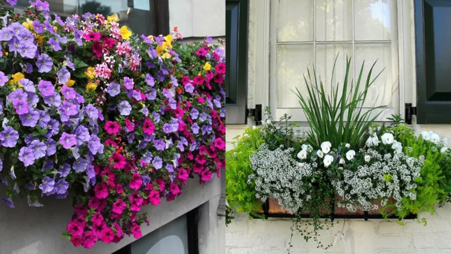 33 ideias de floreiras para deixar as janelas lindas