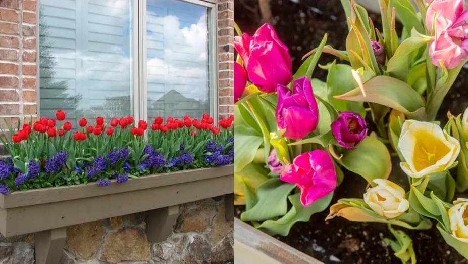 33 ideias de floreiras para deixar as janelas lindas