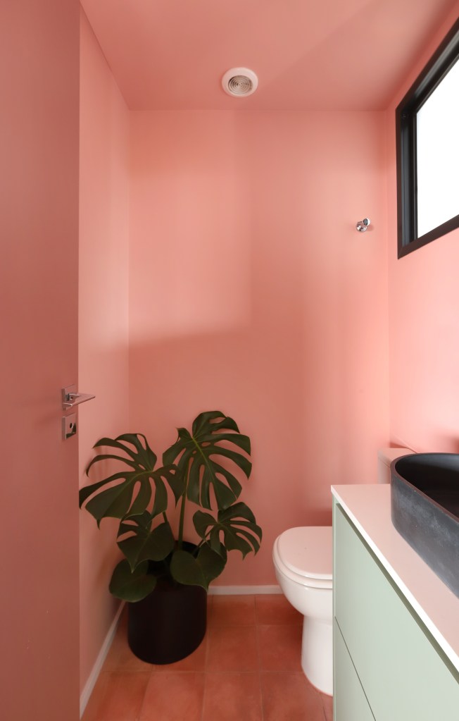 Lavabo com parede rosa e costela de adão