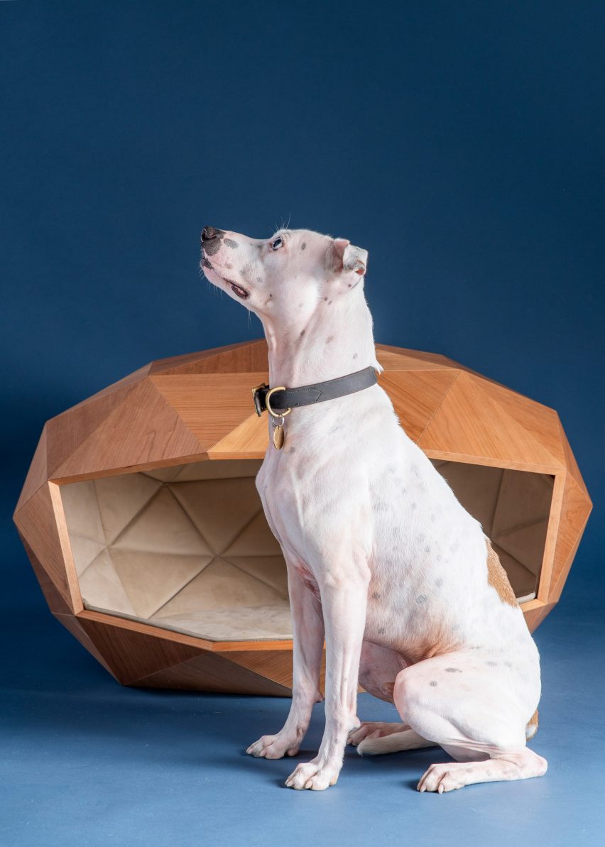 Arquitetura canina: arquitetos britânicos constroem casinha de pet de luxo