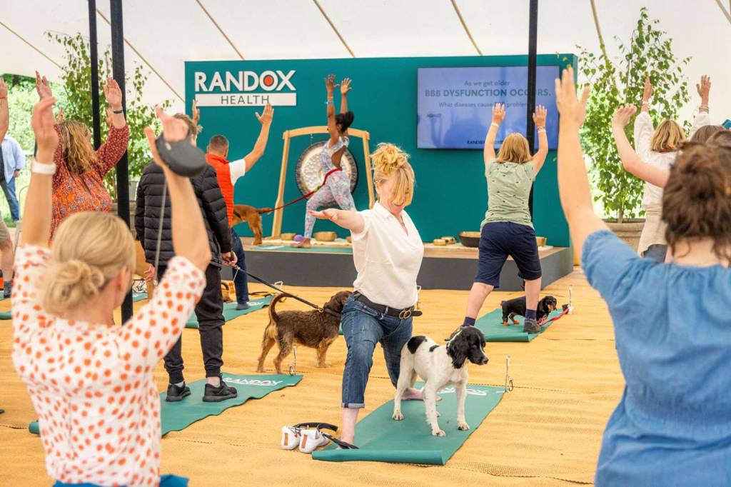 Pessoas praticando Yoga ao lado de seus cães no evento Goodwood.