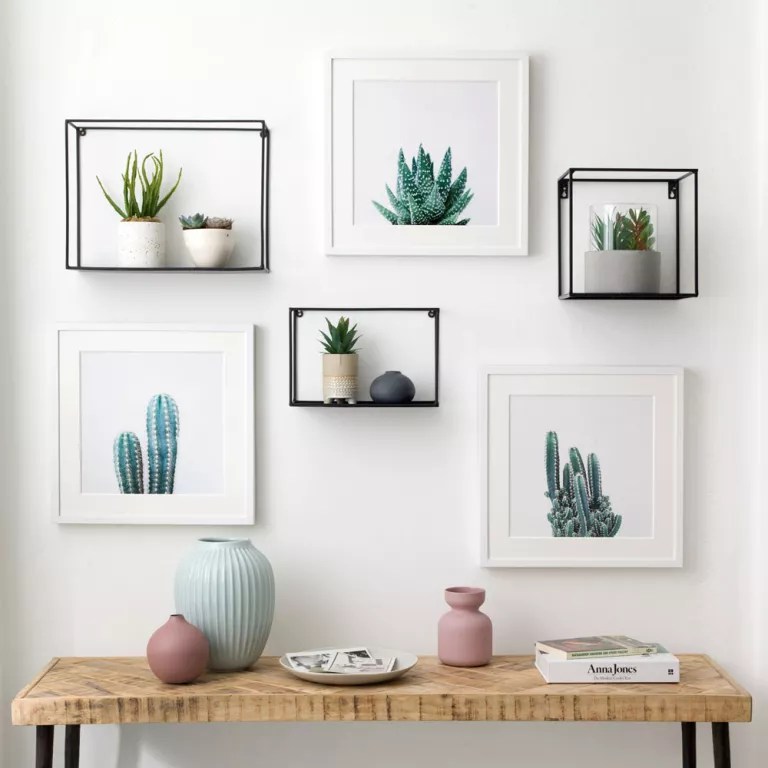 Plantas em quadros na parede