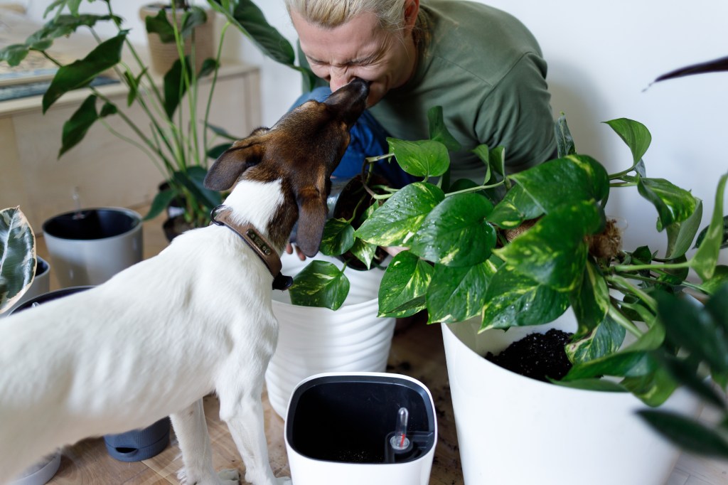 Pet com tutora em meio às plantas