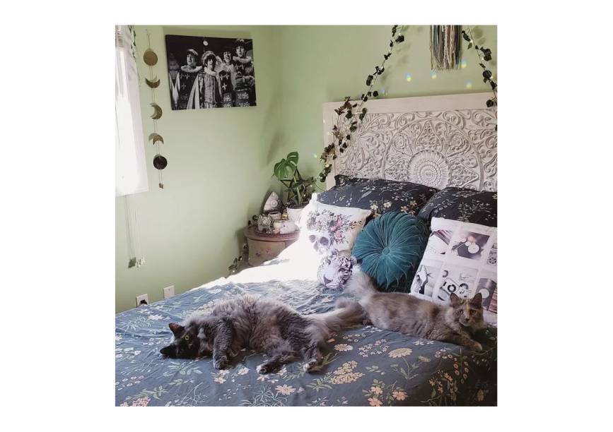 O quarto da Alicia é tão aconchegante que nem seus bichinhos conseguem ficar longe! Ela pendurou trepadeiras acima da cama, que são uma característica comum de quartos estéticos e fazem o espaço parecer sonhador como um jardim.