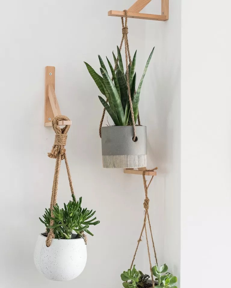8-16-formas-criativas-de-expor-suas-plantinhas Plantas suspensas