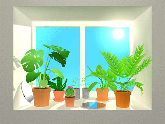 Gif janela luz planta