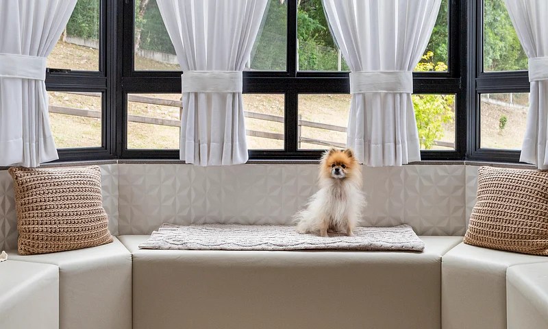 Sofá embaixo de janela com cão sentado