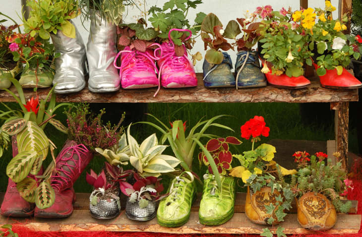 1-ideias-para-criar-um-jardim-com-itens-reciclados plantas em sapatos