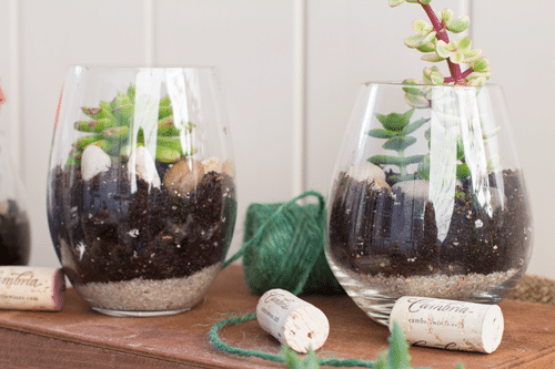 Taças de vinho sendo utilizadas como vasos de planta