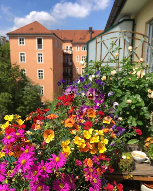 16 dicas para começar um jardim na varanda Balcony Garden Web (12) Varandas com peitoril floridos.