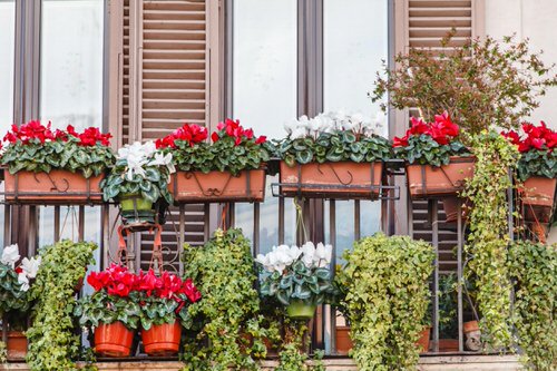 16 dicas para começar um jardim na varanda Balcony Garden Web (14) Varandas com peitoril floridos.