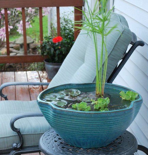 16 dicas para começar um jardim na varanda Balcony Garden Web (23) Vaso cheio d´água com plantas aquáticas em varanda.