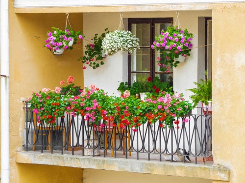 16 dicas para começar um jardim na varanda Balcony Garden Web (25) Varandas com peitoril floridos.