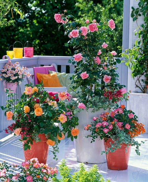 16 dicas para começar um jardim na varanda Balcony Garden Web (73) Varanda decorada com vasos de flores.