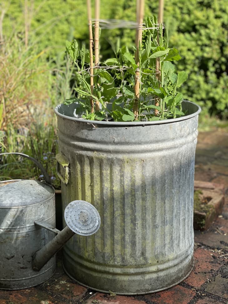 2-ideias-para-criar-um-jardim-com-itens-reciclados planta em regador