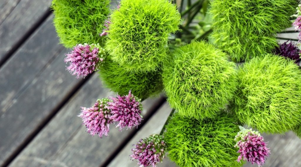 21 flores verdes para quem quer tudo combinando 