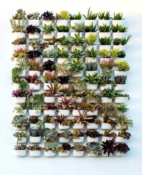 24 jardins suspensos para suculentas Balcony Garden Vasinhos de suculentas dispostos verticalmente.