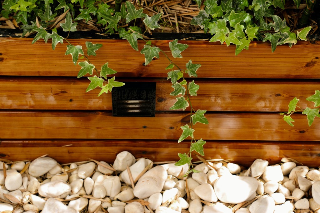5-feng-shui-no-jardim-encontre-equilibrio-e-harmonia jardim com pedras