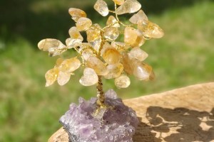 O significado das árvores de cristal no Feng Shui