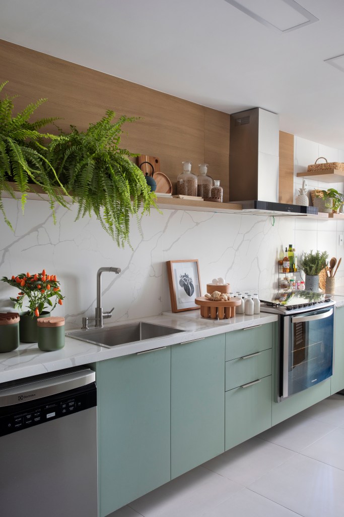 Cozinha com plantas posicionadas em prateleira de madeira