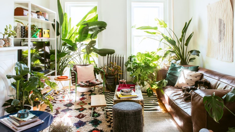 82 espaços decorados com plantas 